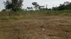 PARCELLE A VENDRE /GABON /LIBREVILLE